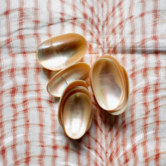 Set of 10 Small Mother of Pearl Caviar Dishes